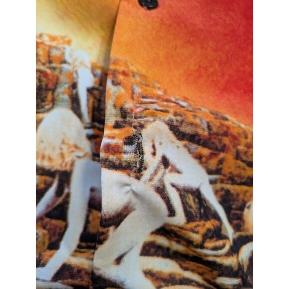 LED ZEPPELIN Houses of the Holy 2003 Myth Gem Bravado Button Shirt Vintage - Picture 5 of 8